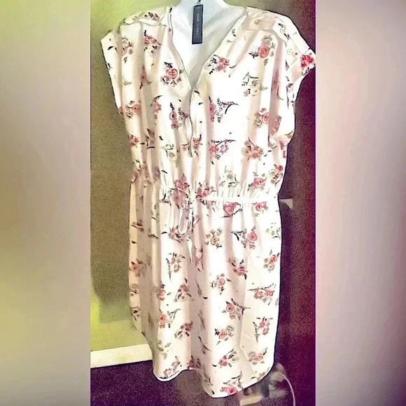 🆕 New Glory Print Cinched-Waist Dress Size 2X - Picture 2 of 6